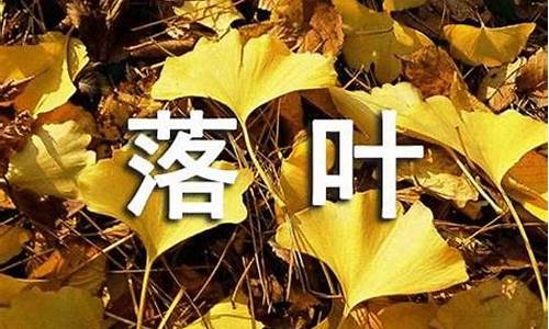 关于落叶的诗歌_关于落叶的诗歌自创